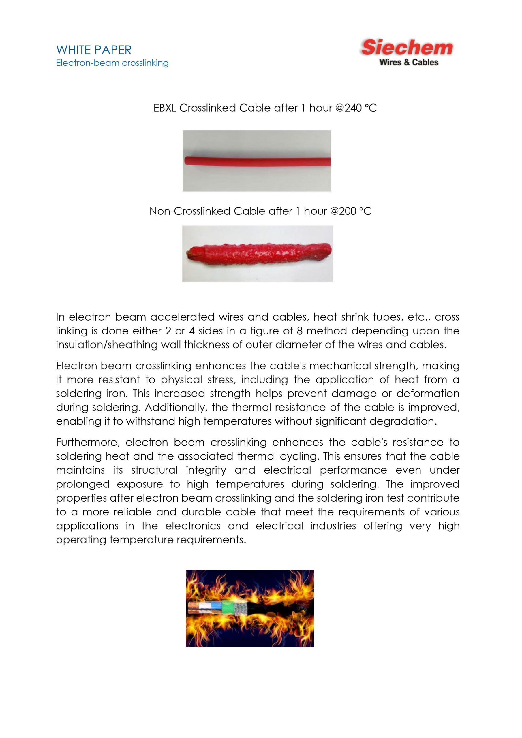 White Paper: Electron-Beam Crosslinking — page 6